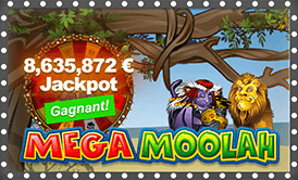 Mega Moolah - 8 635 872 € Jackpot